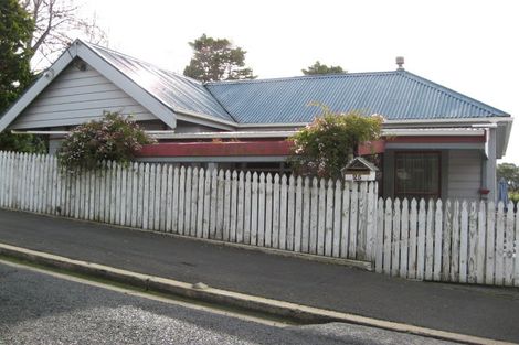 Photo of property in 25 Erin Street, Roslyn, Dunedin, 9010