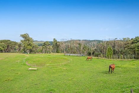 Photo of property in 211 Wilson Road, South Head, Helensville, 0874