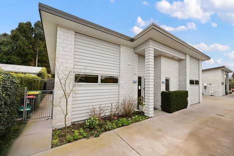 Photo of property in 2/50 Kowhai Street, Hamilton Lake, Hamilton, 3204