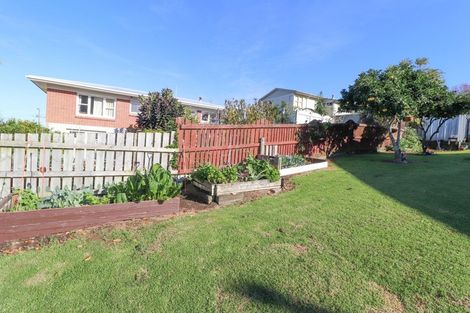 Photo of property in 113 Kingsford Place, Thames, 3500