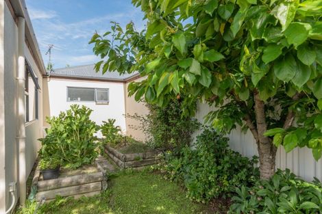 Photo of property in 13b Orchard Drive, Alexandra, 9320