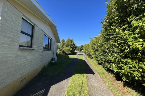 Photo of property in 65 Liverpool Street, Levin, 5510