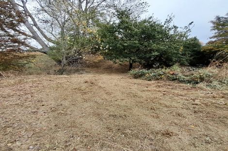 Photo of property in 46 Auskerry Street, Palmerston, 9430