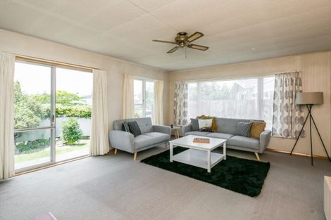 Photo of property in 39 Plunket Street, Tamatea, Napier, 4112