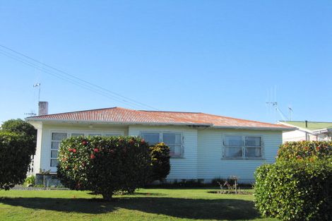 Photo of property in 30 Cobham Street, Levin, 5510