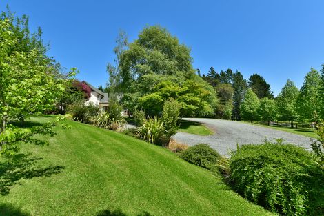 Photo of property in 339 Ahuroa Road, Puhoi, Warkworth, 0994