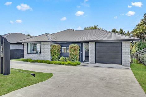 Photo of property in 14 Ballance Street, Kihikihi, Te Awamutu, 3800