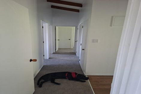 Photo of property in 15b Binnie Street, Paihia, 0200