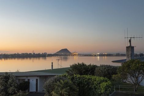 Photo of property in 39 Vine Avenue, Maungatapu, Tauranga, 3112