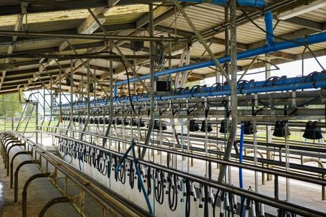 Photo of property in 306 Ferry Road, Waltham, Christchurch, 8011