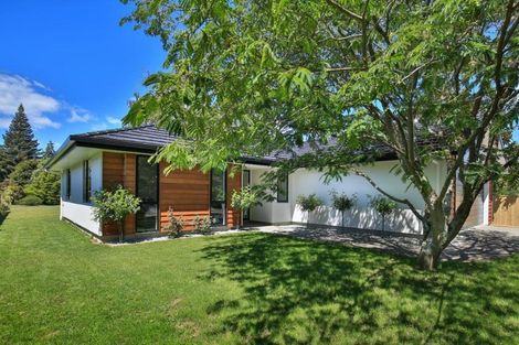 Photo of property in 12 Teece Drive, Motueka, 7120