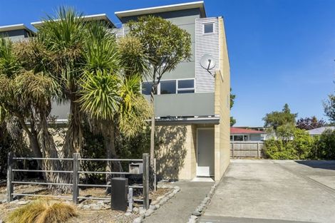 Photo of property in 138 Purchas Street, Edgeware, Christchurch, 8013