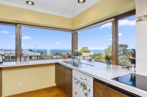 Photo of property in 3 Falcon Street, Roslyn, Dunedin, 9010