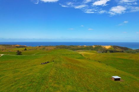 Photo of property in 627 Mahuta Road, Mahuta, Dargaville, 0371