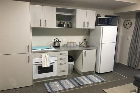 Photo of property in The Peak Apartments, 402/170 Taranaki Street, Te Aro, Wellington, 6011