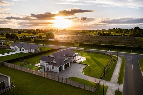 Photo of property in 24 Catalyst Avenue, Leamington, Cambridge, 3432