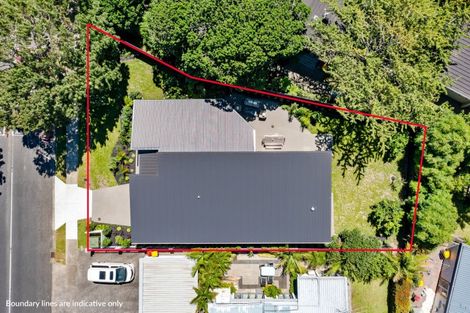 Photo of property in 17 Fordyce Avenue, Sunnyhills, Auckland, 2010