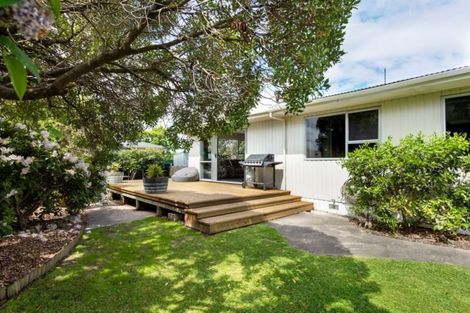 Photo of property in 1 Litchfield Street, Redwoodtown, Blenheim, 7201
