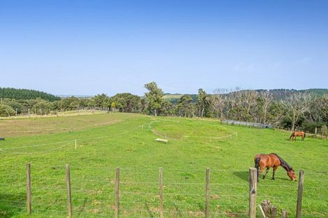 Photo of property in 211 Wilson Road, South Head, Helensville, 0874