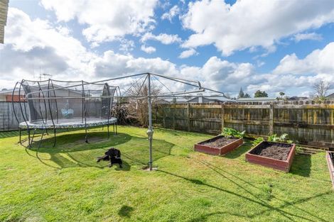 Photo of property in 8 Nixon Street, Hamilton East, Hamilton, 3216