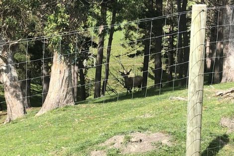 Photo of property in 138 Kaitoke Road, Kaitoke, Whanganui, 4572