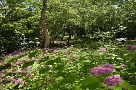 Photo of property in 98 Hawke Road, Orari, Geraldine, 7992