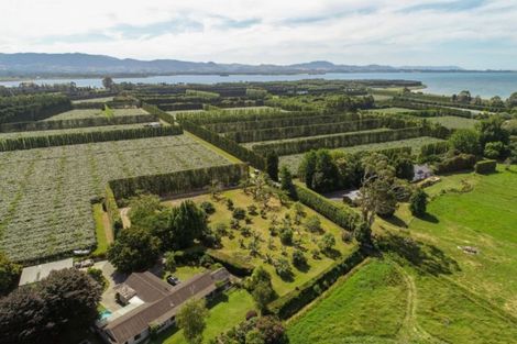 Photo of property in 380b Matahui Road, Aongatete, Katikati, 3181