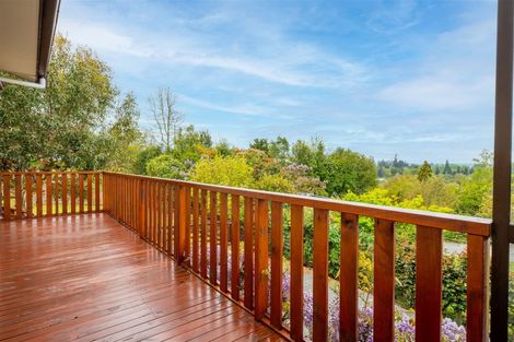 Photo of property in 18 Darby Street, Geraldine, 7930