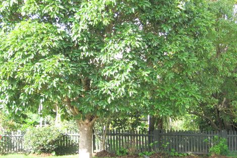 Photo of property in 70b William Bayes Place, Red Beach, 0932