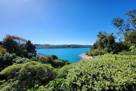 Photo of property in 5 Te Anau Avenue, Hataitai, Wellington, 6021