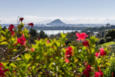 Photo of property in 16 Gunbar Drive, Welcome Bay, Tauranga, 3175