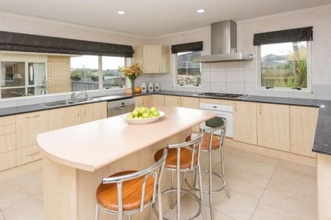 Photo of property in 22 Attymon Lane, East Tamaki, Auckland, 2016