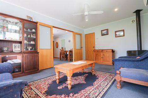 Photo of property in 45a Mckenzie Street, Geraldine, 7930