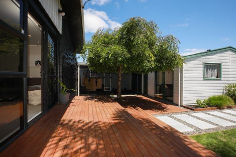 Photo of property in 68 Fitzroy Avenue, Fitzroy, Hamilton, 3206