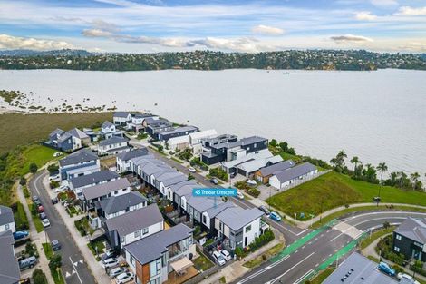 Photo of property in 45 Treloar Crescent, Hobsonville, Auckland, 0616