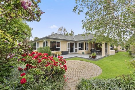 Photo of property in 81a Macarthur Street, Levin, 5510