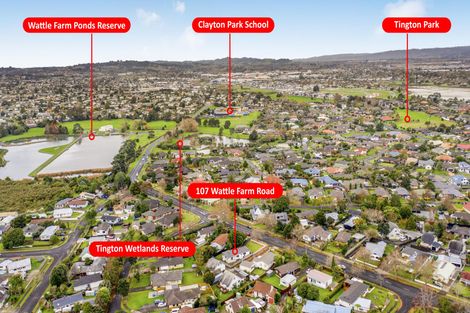 Photo of property in 107 Wattle Farm Road, Wattle Downs, Auckland, 2103