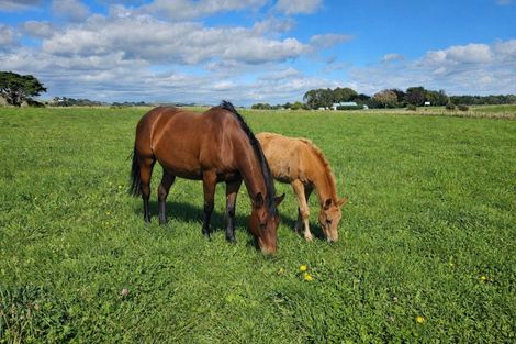Photo of property in 12b Pahiatua Pongaroa Road, Pahiatua, 4982