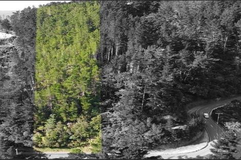 Photo of property in 129 Blue Mountains Road, Blue Mountains, Upper Hutt, 5371