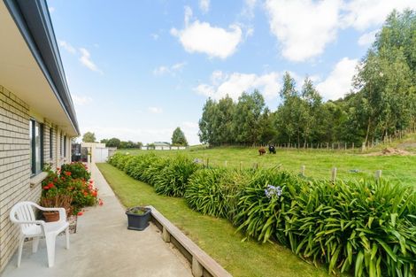 Photo of property in 19 Ursula Drive, Feilding, 4702