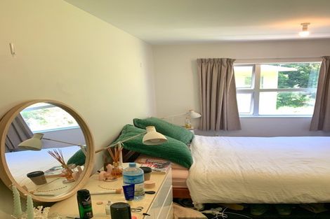 Photo of property in 3a Anderson Terrace, Mount Cook, Wellington, 6021