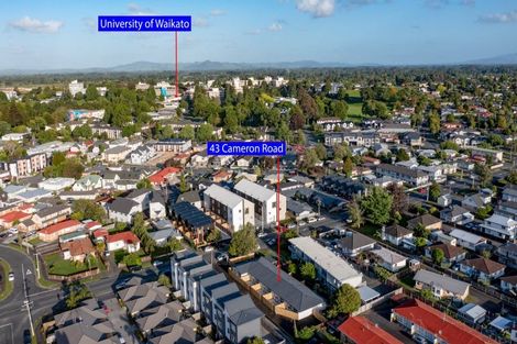 Photo of property in 43 Cameron Road, Bluff Hill, Napier, 4110