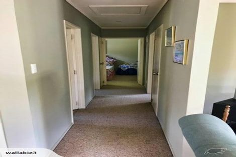 Photo of property in 2 Lavinia Place, Kawau Island, 0920