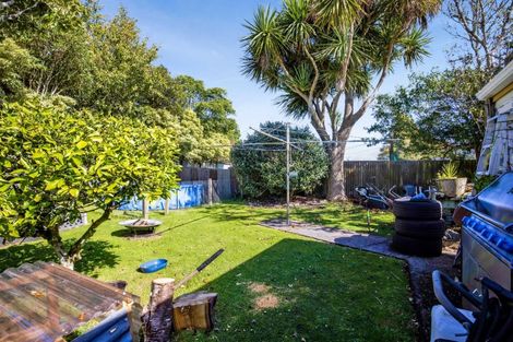 Photo of property in 31 Lysander Street, Stratford, 4332