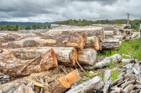 Photo of property in 496a State Highway 7, Kaiata, Greymouth, 7805