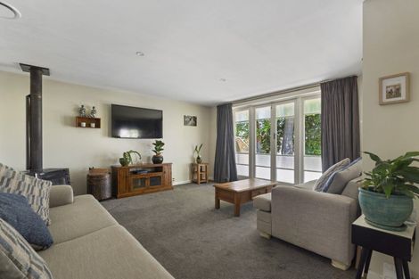 Photo of property in 19 Goodman Street, Blenheim, 7201