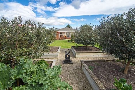 Photo of property in 68 Raglan Street, Lansdowne, Masterton, 5810