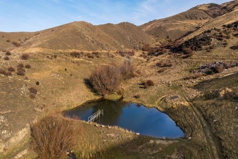 Photo of property in 236 Warburton Crescent, Te Awamutu, 3800