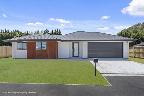 Photo of property in 25 Makybe Terrace, Lincoln, 7608