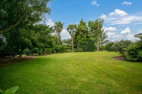 Photo of property in 10 Rowling Place, Leamington, Cambridge, 3432